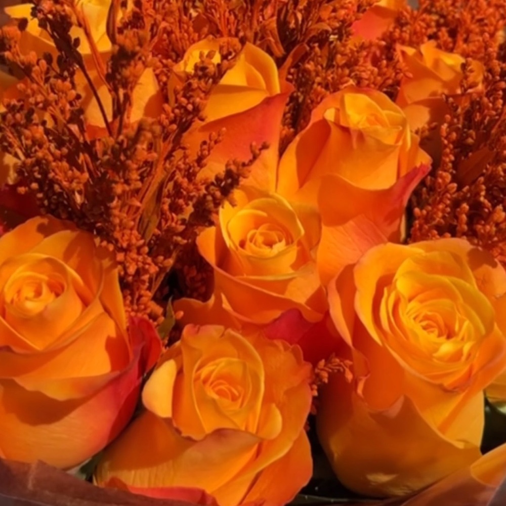 COLORED ROSES 🧡